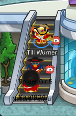 ice-berg-recruiting-3